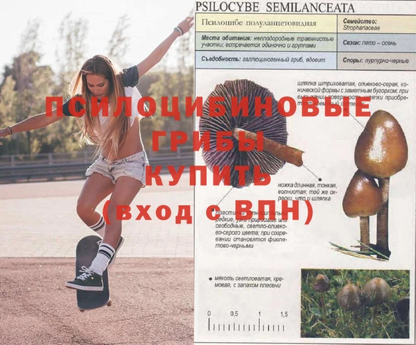 марки lsd Верхнеуральск