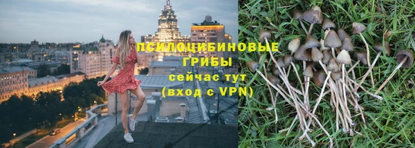 марки nbome Бородино